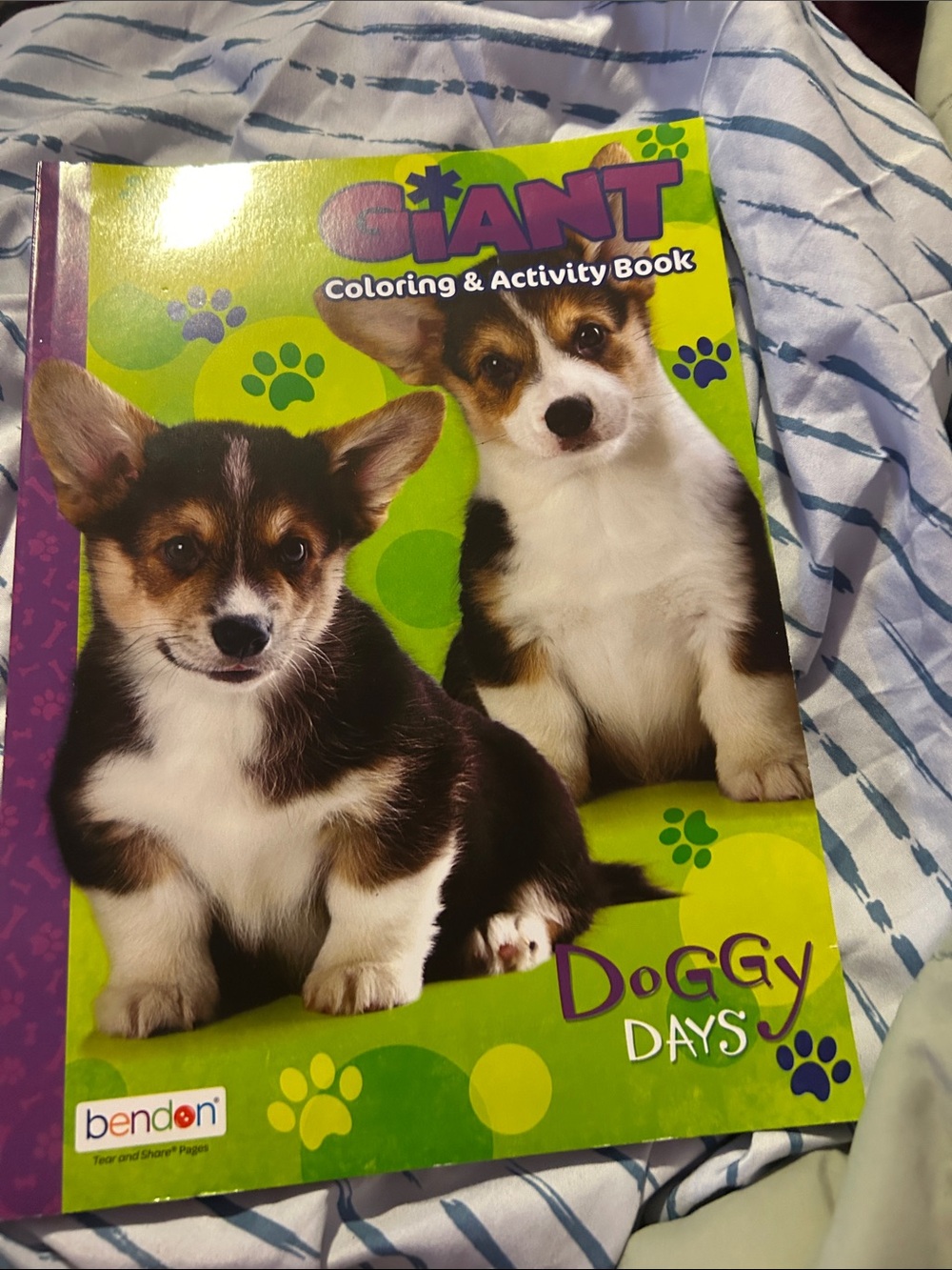 Doggy Days Giant Coloring & Activity Book - Green